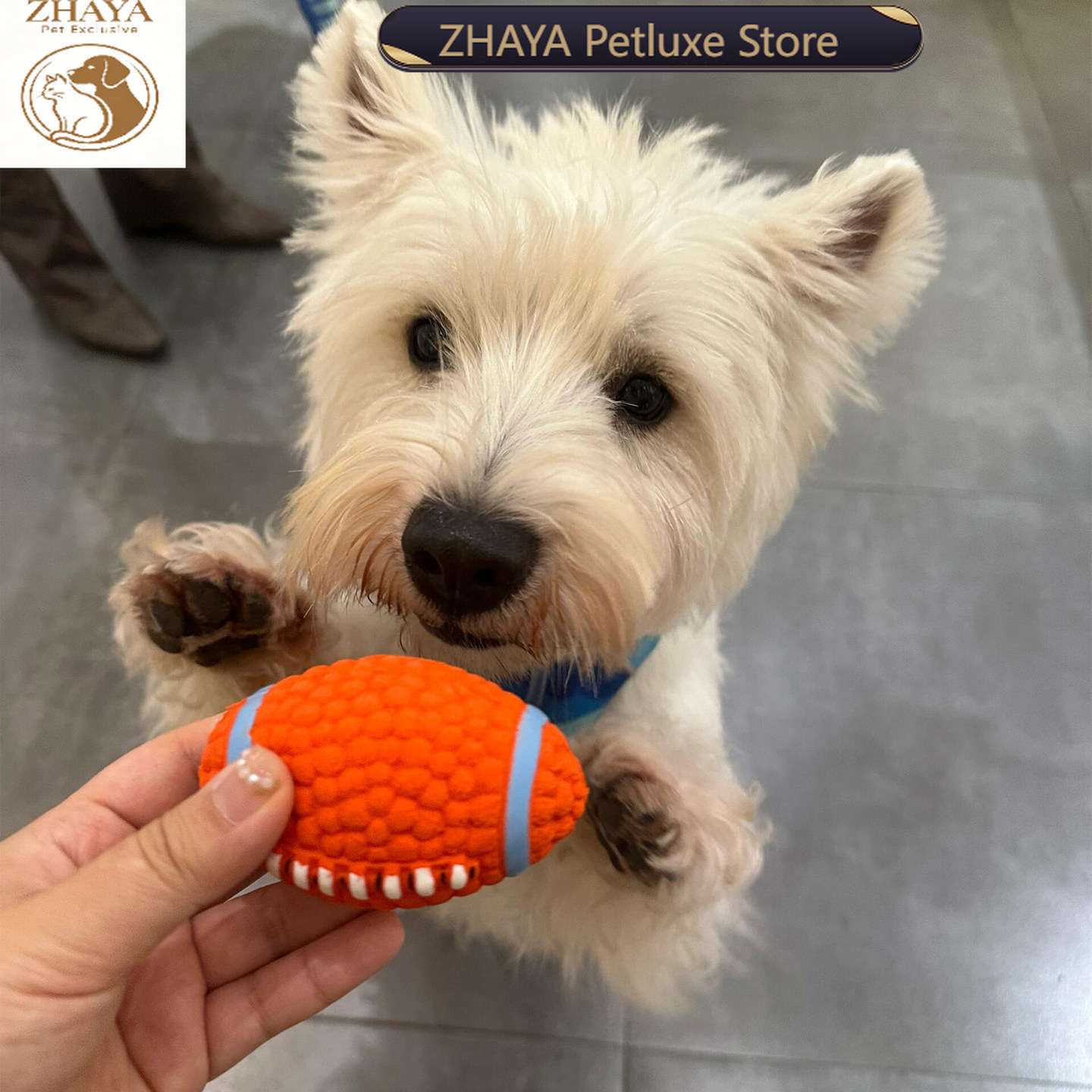 Rugby Training Ball - ZHAYA Pet Squeaky Interactive Ball Latex