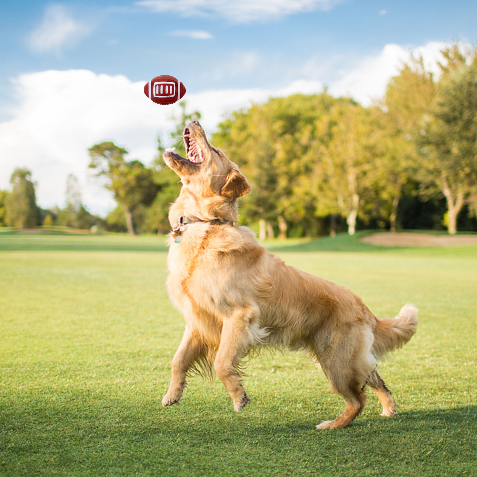 4Pcs Rugby Dog Biting Chew Bal - огляд і ціна Rugby Training Ball