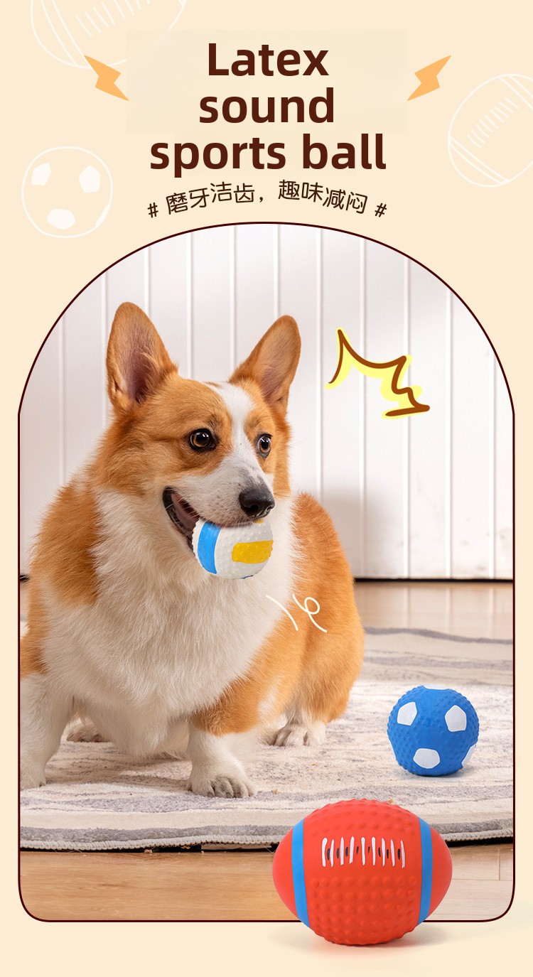 ZHAYA Pet Squeaky Interactive  - огляд і ціна Rugby Training Ball