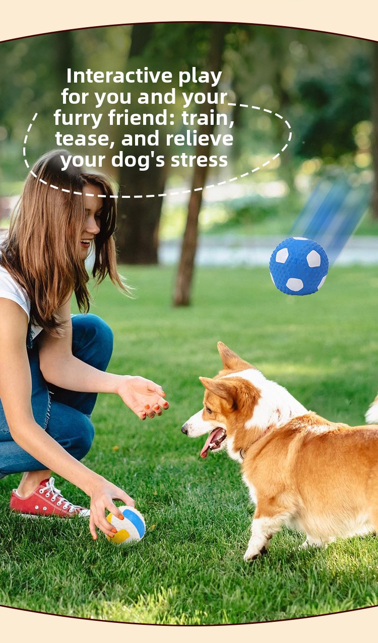 ZHAYA Pet Squeaky Interactive  - огляд і ціна Rugby Training Ball