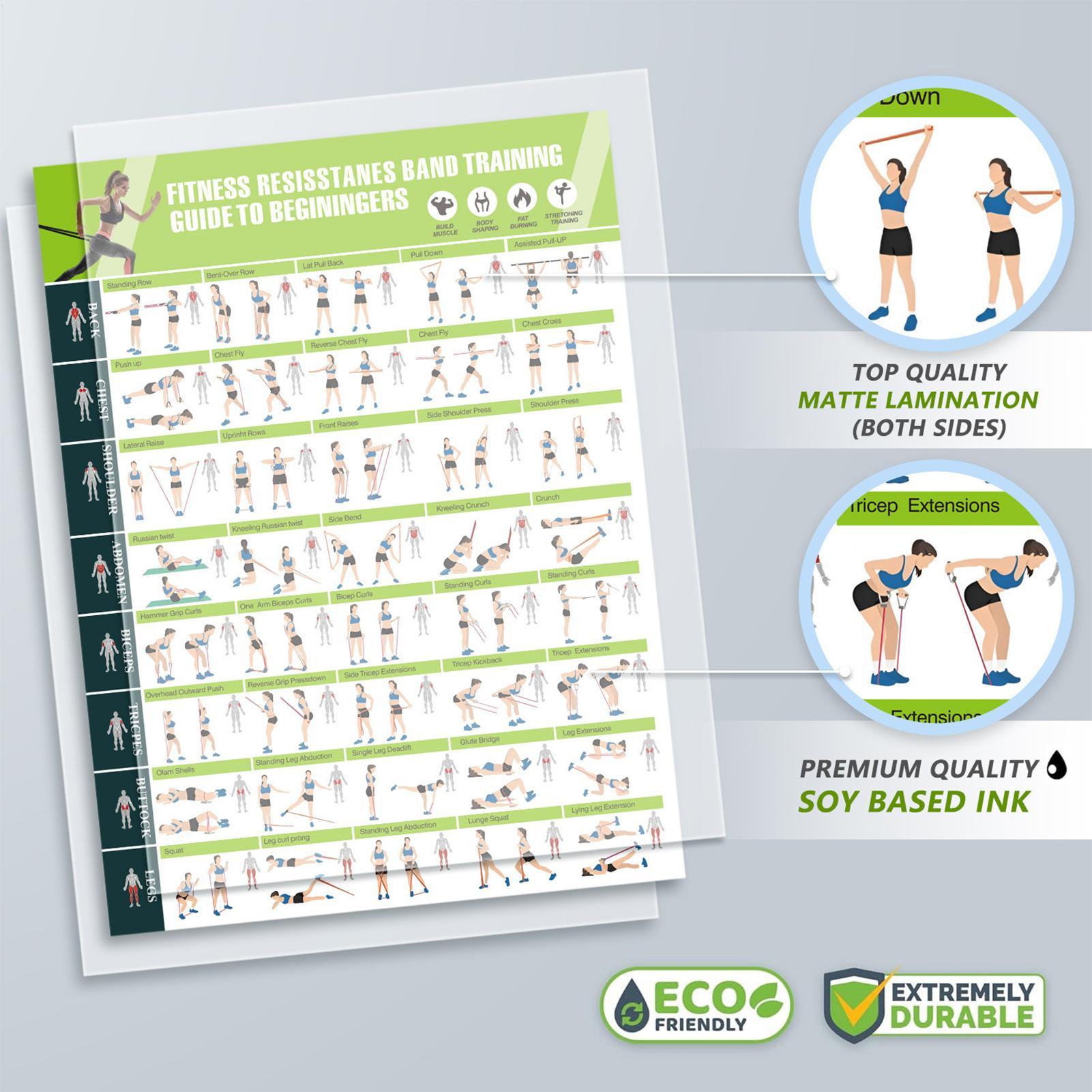 Workout Posters with Resistanc - огляд і ціна Sports Equipment Poster
