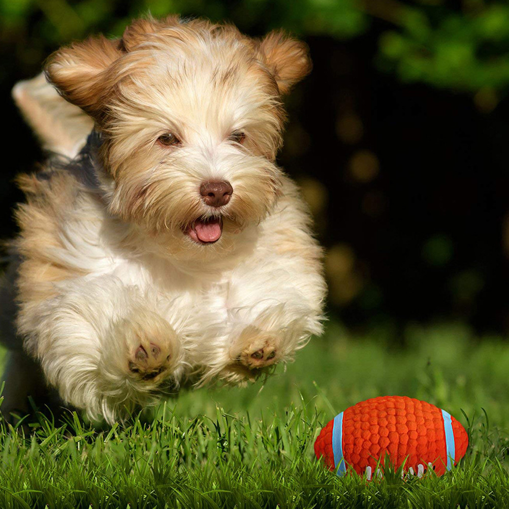 2Pcs Sound Chew Ball Set for P - огляд і ціна Rugby Training Ball